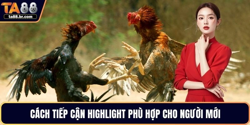  Cách tiếp cận highlight phù hợp cho người mới