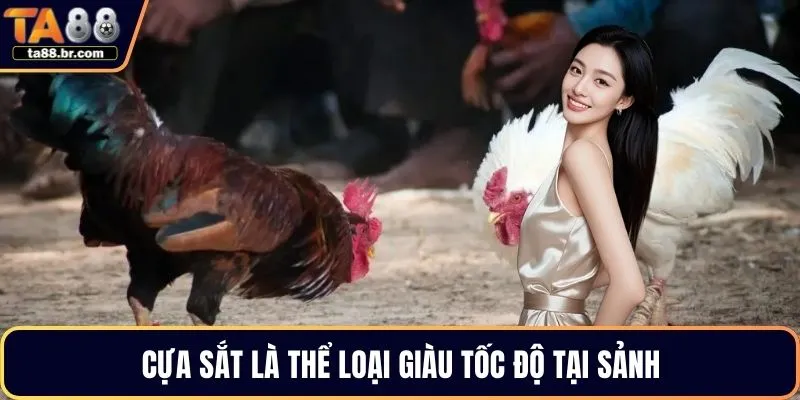 Cựa sắt là thể loại giàu tốc độ tại sảnh
