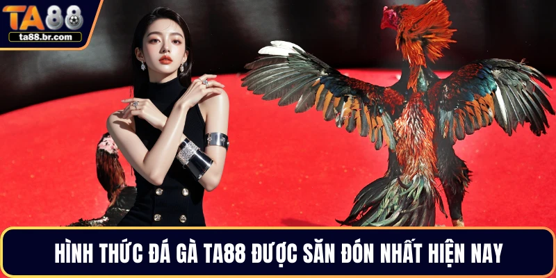 Hình thức đá gà TA88 được săn đón nhất hiện nay