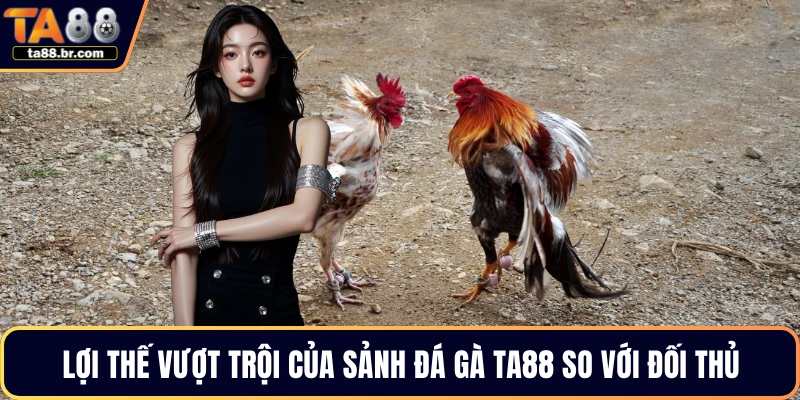Lợi thế vượt trội của sảnh đá gà TA88 so với đối thủ