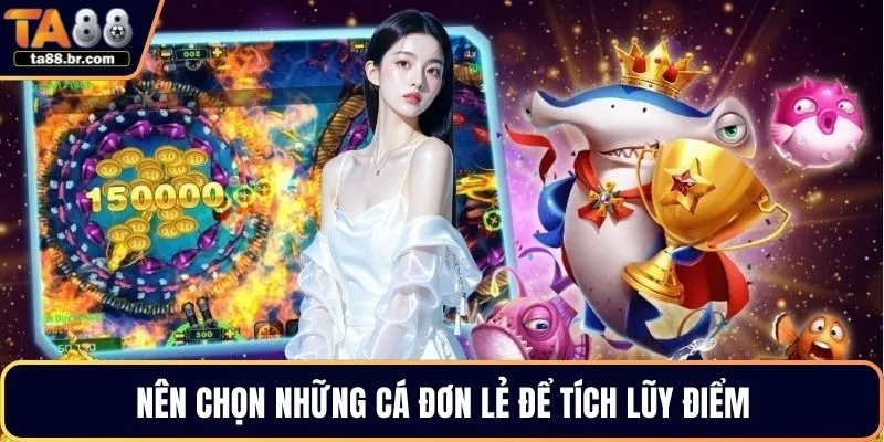 Nên chọn những cá đơn lẻ để tích lũy điểm