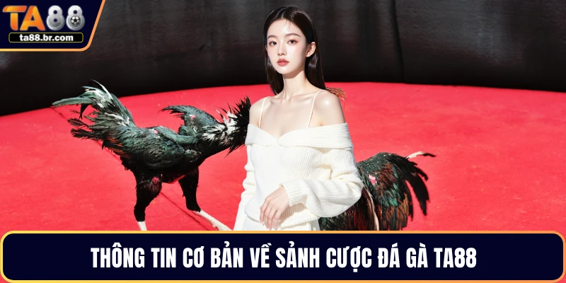 Thông tin cơ bản về sảnh cược đá gà TA88