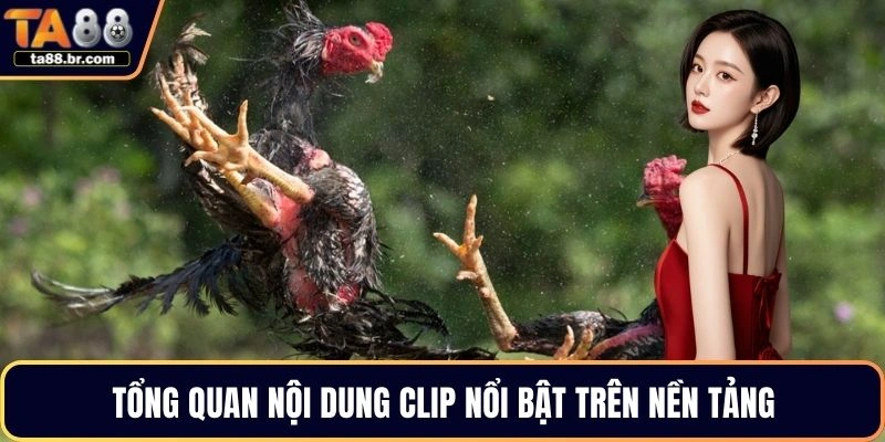Tổng quan nội dung clip nổi bật trên nền tảng