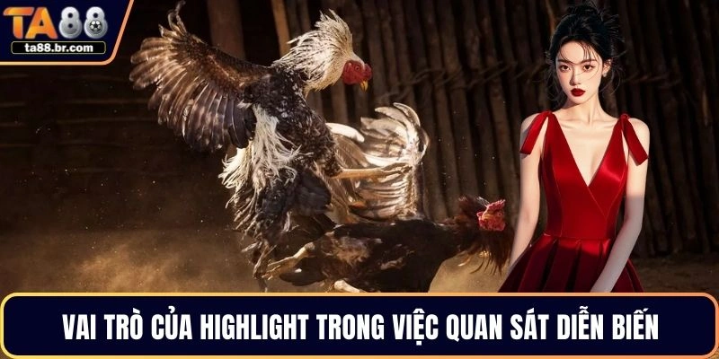  Vai trò của highlight trong việc quan sát diễn biến